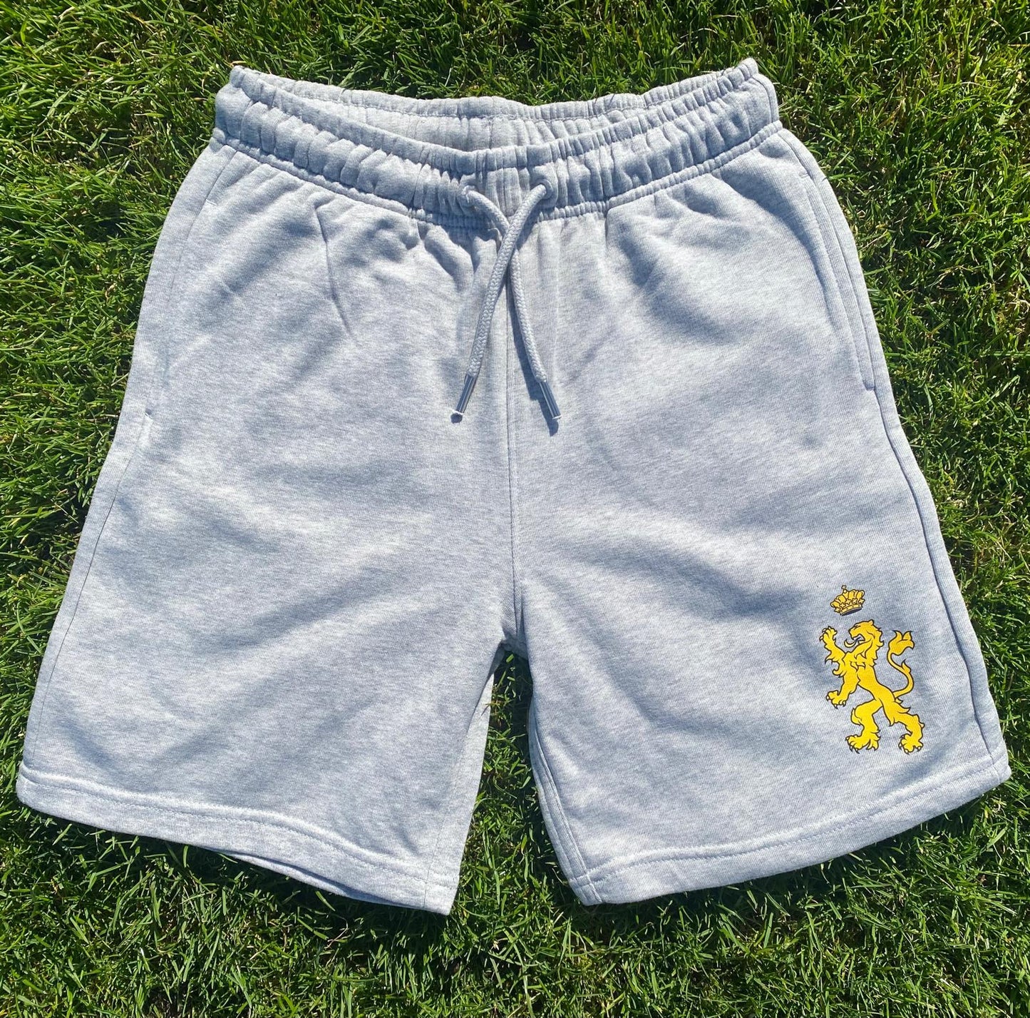 HVV Shorts Grijs